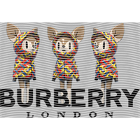 Brand Catalog-ZX 344